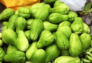 喜欢吃瓜最爱吃瓜的生肖,瓜果飘香，最爱瓜果的甜蜜生活