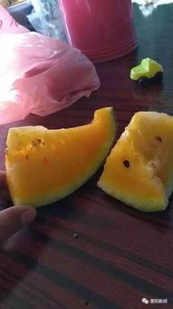 吃瓜码怎么扫,轻松获取精彩内容