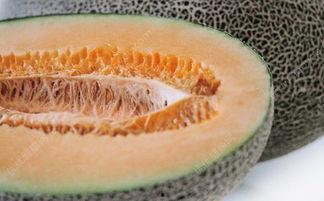 每次吃哈密瓜舌头都会麻,揭秘哈密瓜为何让人“触电”