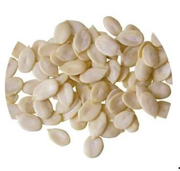 吃仁瓜的种类,不同种类仁瓜的品味与营养