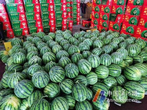 热门大瓜今日吃瓜中心,揭秘娱乐圈最新猛料，吃瓜群众狂欢时刻！