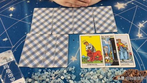 塔罗牌吃瓜,吃瓜群众的神秘命运之旅