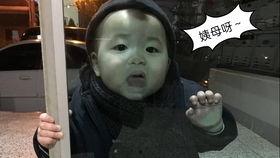 道崽吃瓜小胖,揭秘娱乐圈那些不为人知的幕后故事