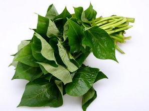 产妇可以吃土瓜,土瓜的营养与食用指南