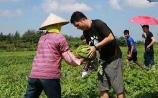 群众吃瓜节报道,群众吃瓜节盛况空前，全民共享欢乐时光