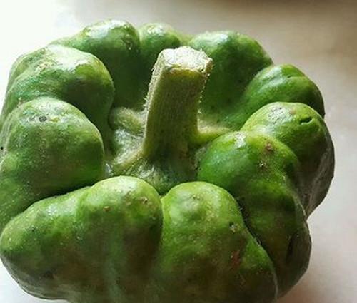 姜饼瓜孕妇可以吃吗,安全与注意事项