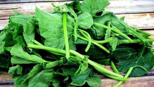 吃瓜叶的好处