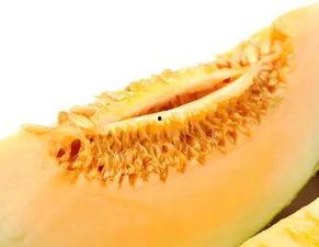 蜜瓜吃蝌蚪,一场奇妙的味蕾之旅