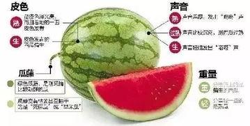 微信吃瓜闲聊,揭秘网络社交背后的趣味与真相